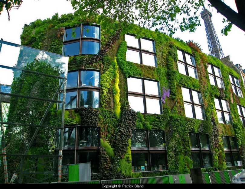 Озеленение фасада