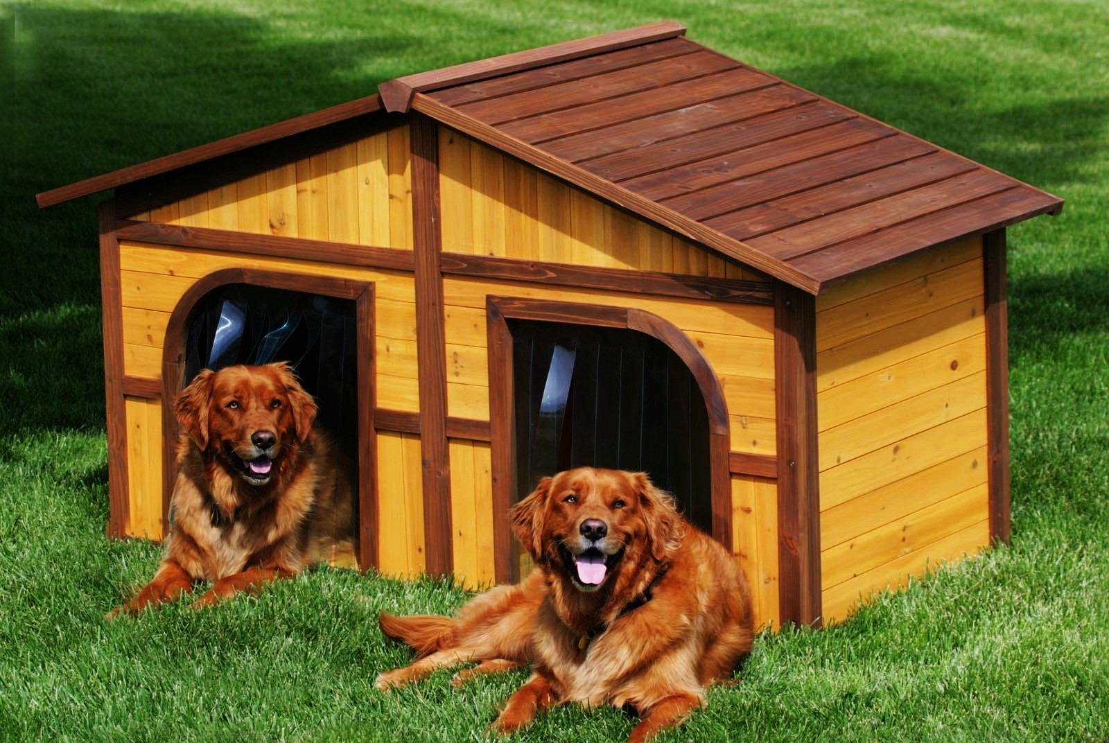 The dog house demo dog houses info. Конура для 2 собак. Конура для немецкой овчарки. Собачья конура будка. Конура для 3 собак.