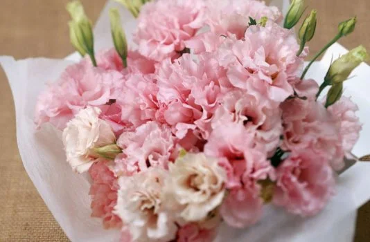 эустома сорта