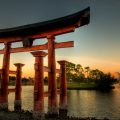 Тории — японские традиции на вашем участке