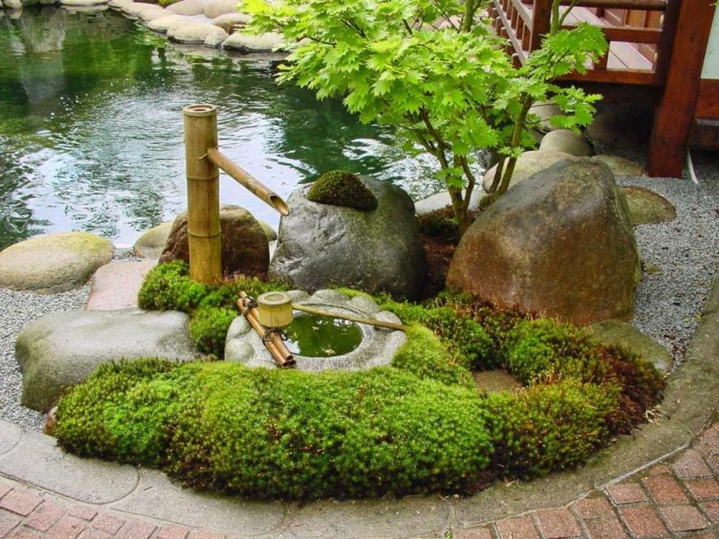 японский сад чайная церемония