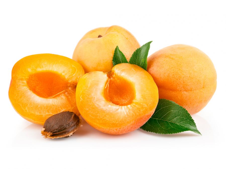 Дерево абрикос: посадка и уход, фото, обрезка, прививка