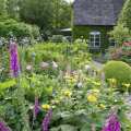 Украсьте ваш сад большим количеством растений