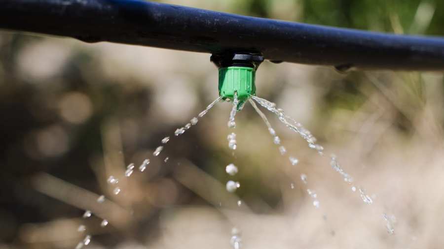 Капельный полив: система орошения для эффективного использования воды