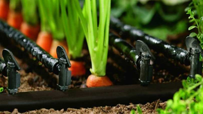 Капельный полив