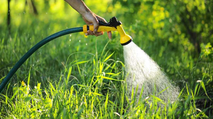 Эффективные инструменты для полива сада и огорода от магазина Vista