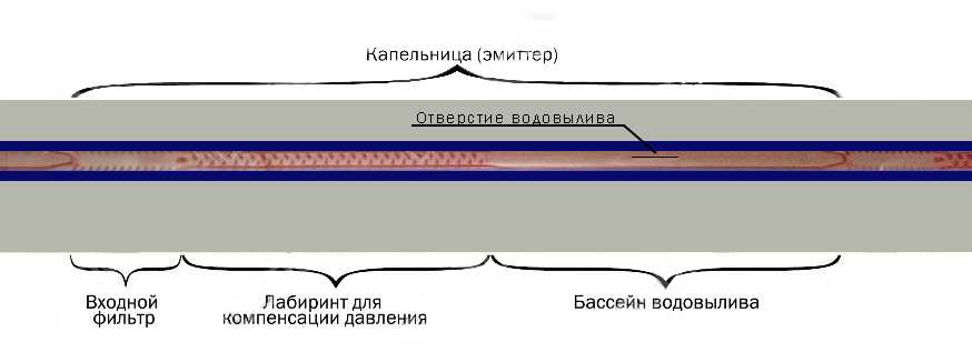 Какую капельную ленту подобрать для полива сада